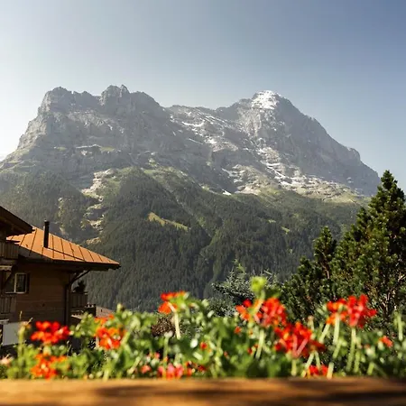 The Bergidyll - Grindelhomes Daire *